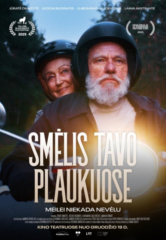 Smėlis tavo plaukuose
