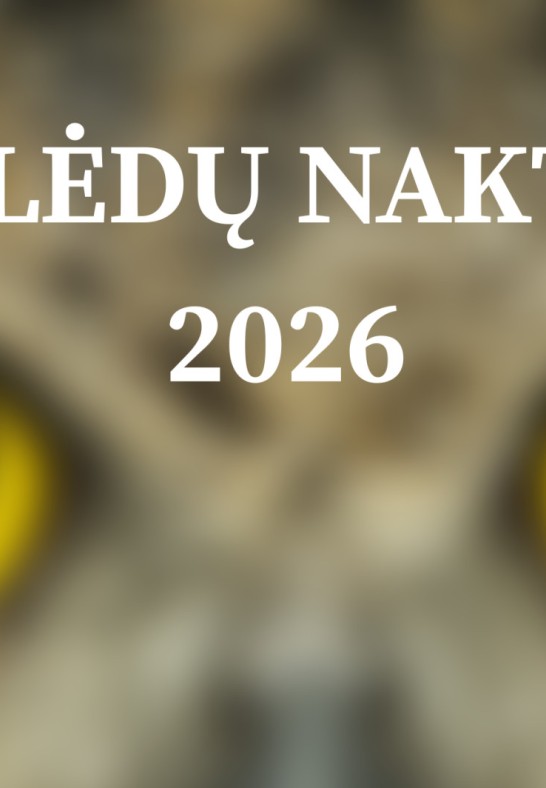 Pelėdų naktis 2026