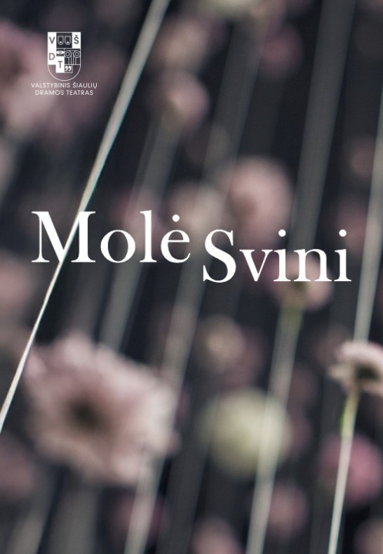 VŠDT premjera | MOLĖ SVINI | rež. Gytis Padegimas