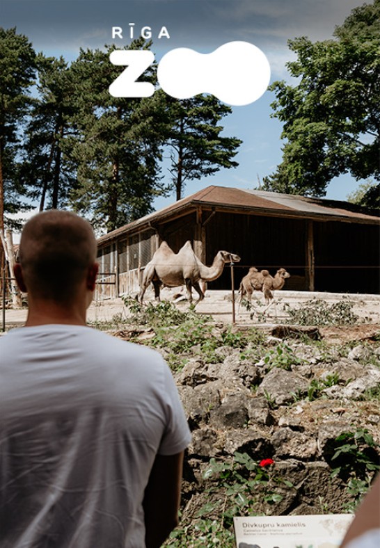 Rīga ZOO visit