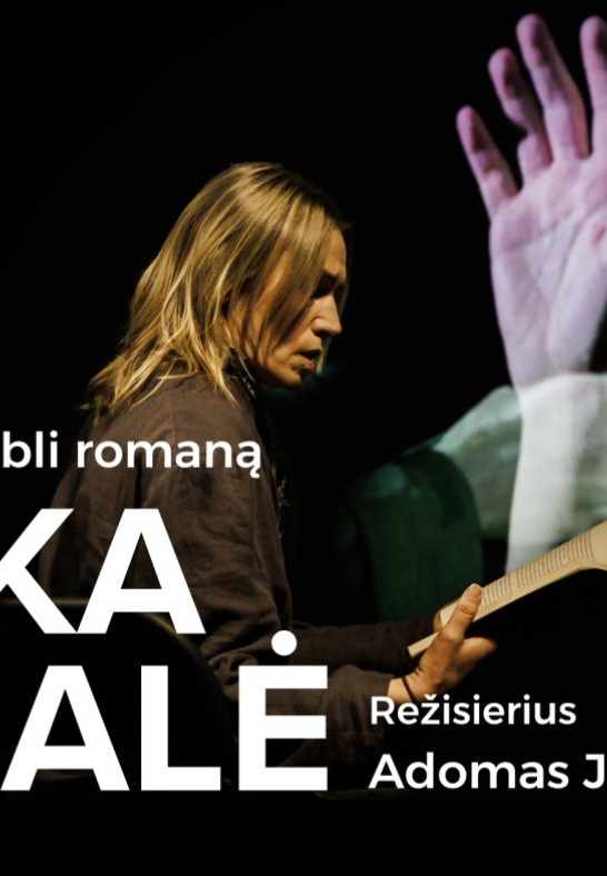 MENKA DETALĖ. Rež. Adomas Juška