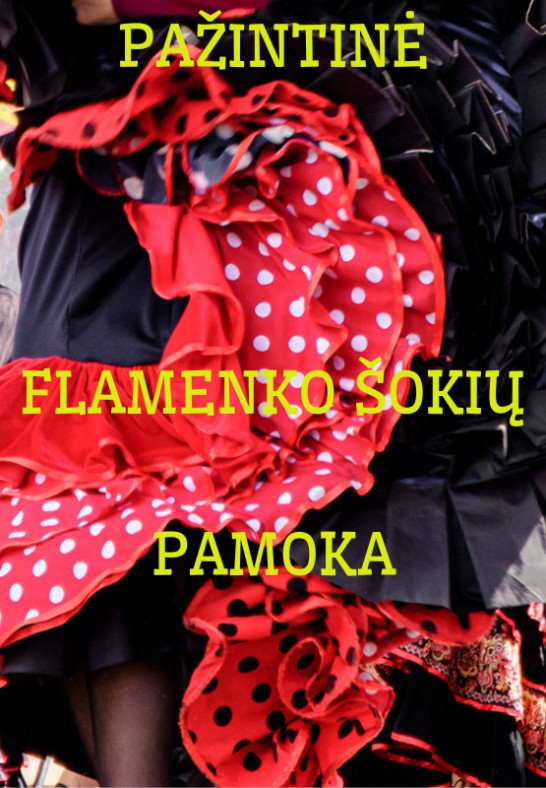 FLAMENKO PAMOKA