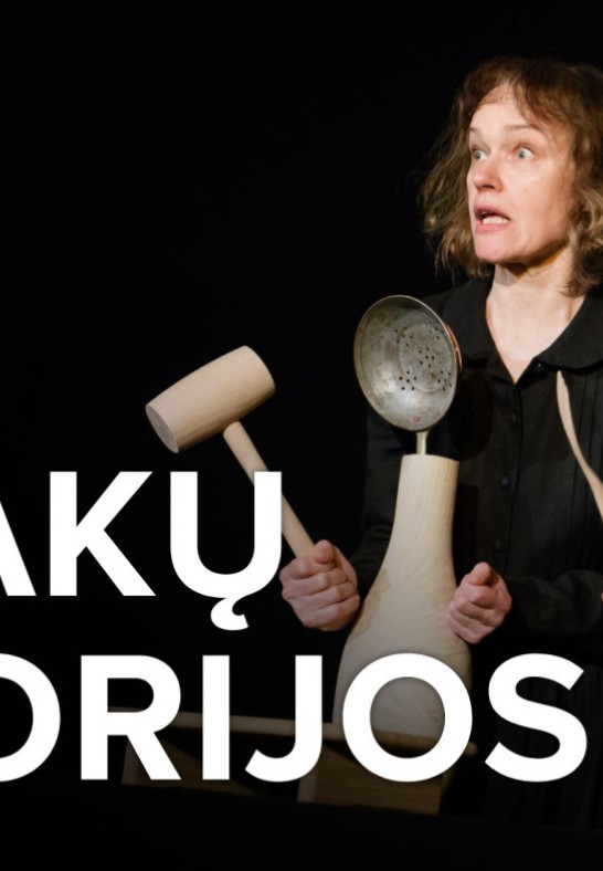 Objektų edukacija PASAKŲ ISTORIJOS. Rež. Saulė Degutytė | Alytus