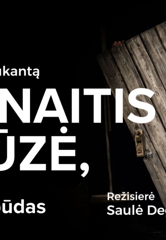 RUBINAITIS PELIŪZĖ, arba lietuvio išgyvenimo būdas + edukacija. Rež. Saulė Degutytė