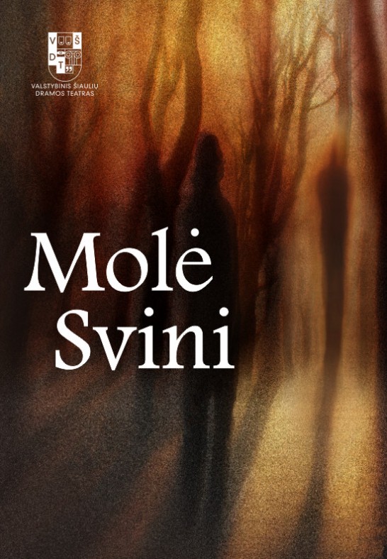VŠDT premjera | MOLĖ SVINI | rež. Gytis Padegimas