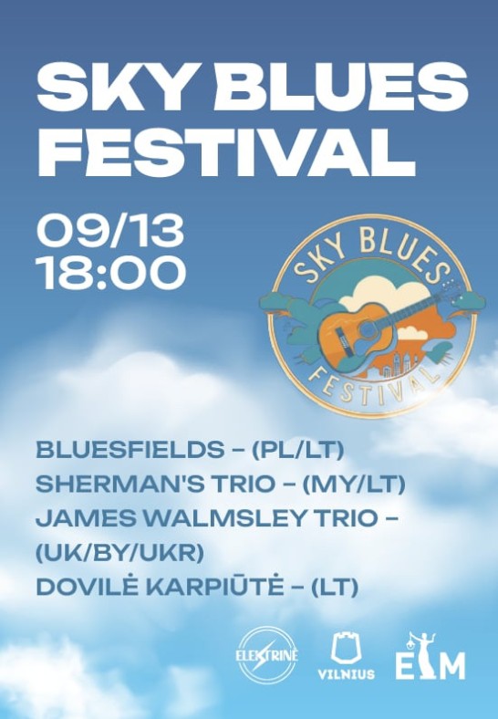 ELEKTRINĖ terasa GYVAI | SKY BLUES FESTIVAL