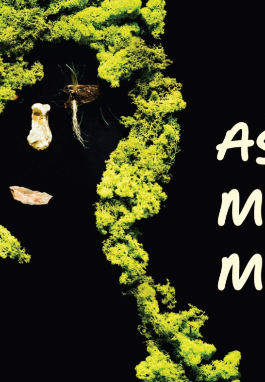 AŠ IR MANO MAMA | Liepojos lėlių teatro gastrolės