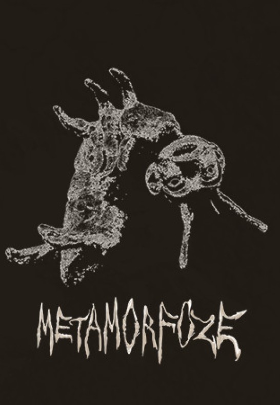 METAMORFOZĖ | Liepojos lėlių teatro gastrolės